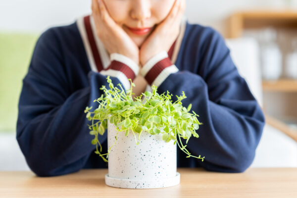 植物にも感情がある （一）