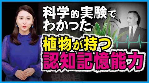 植物には人間を超えた超能力がある。植物は人の心が読める。植物には感情がある！