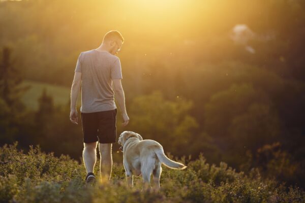 10年間行方不明だった愛犬との再会に涙