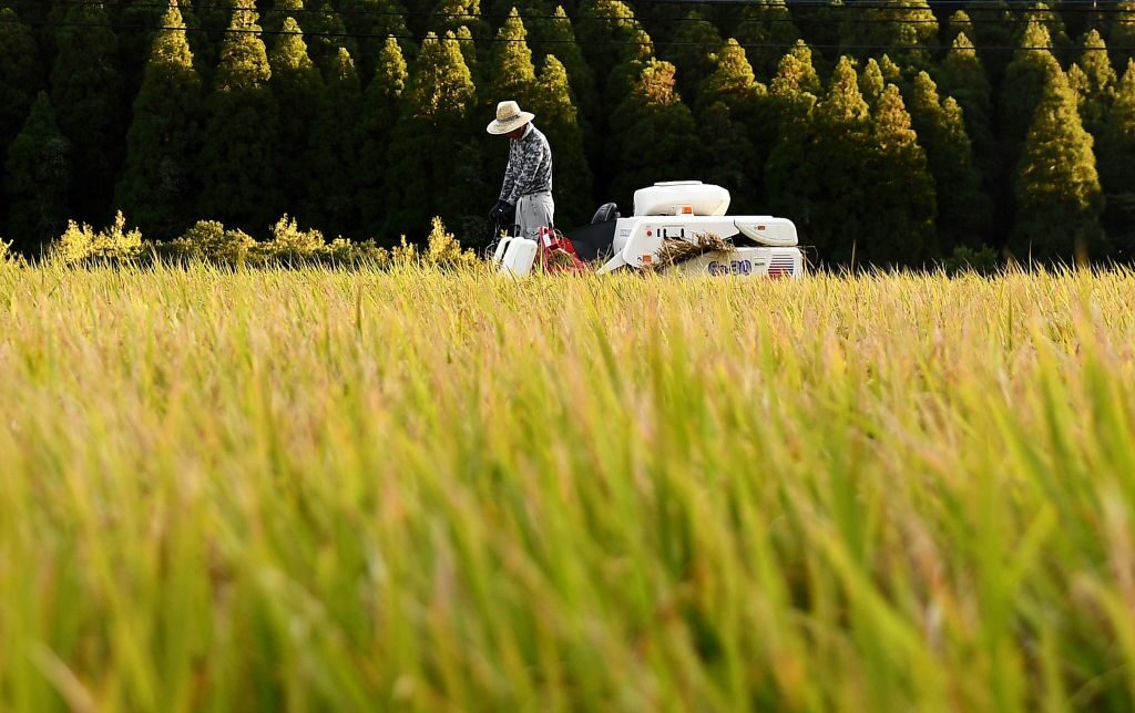 左翼の天敵は「自然」である