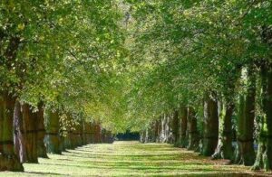 親友から授かった命