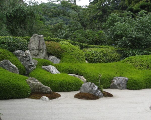 アルツハイマー患者　日本庭園を見て落ち着く