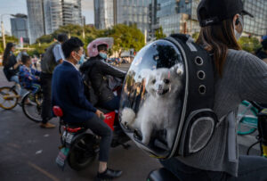 『写真で一言』犬を連れた女性