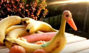 果物でかわいい水鳥を作ろう！
