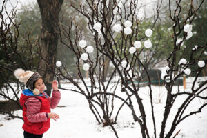 「汚い雪で遊ばないで」北京当局が警告