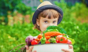 食物には実はものすごい情報が！