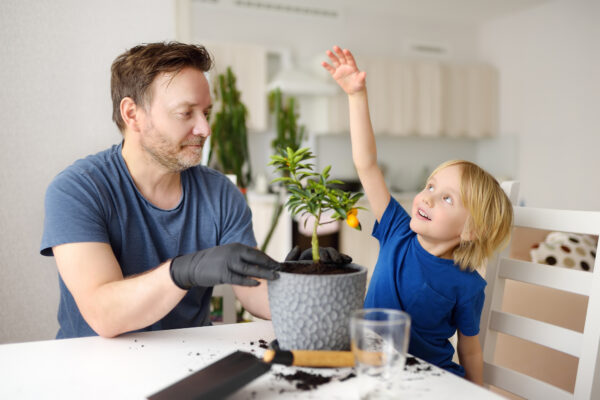 子供が起業家へと成長できる子育て方法