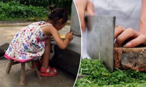 6歳の中国少女、美しいカービングで話題　背後に悲しい現実が