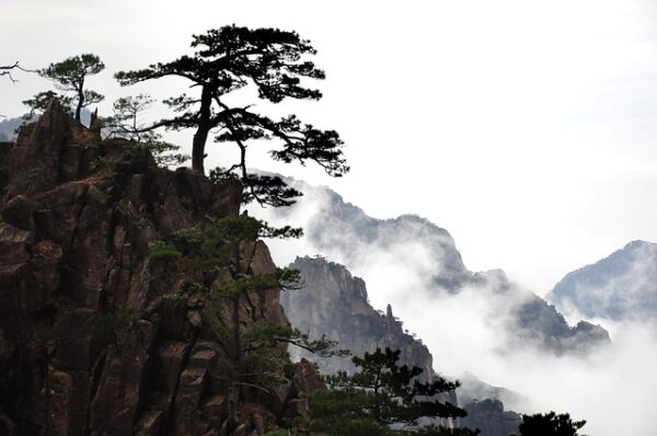 中国伝統美徳物語（孝行編）その一「虞舜は畑を耕す」