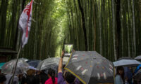 日本当局、中国旅行11社に訪日ビザ代理申請の資格停止…日本で失踪、不法滞在の情報も