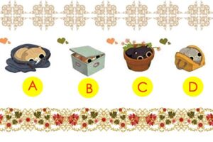 寒くて隠れている猫ちゃん　どれが一番暖かそう？