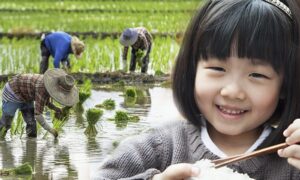 「しゃべる」ご飯粒が少女に伝えたいこと「食べ物を粗末にしないで」