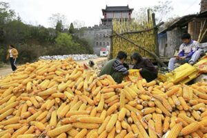 中国東北部、若者の人口流出止まず