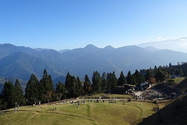 清境農場の散策、緑の草原での羊のショーはストレス解消に最適