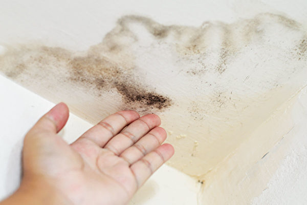 侮ってはいけないカビの健康被害　カビの混入を防ぐには（1）