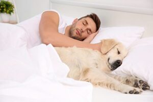 子犬と寝る時　スーパー耐性菌の感染に要注意