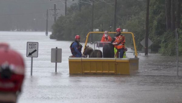 シドニーの数千人に避難指示、豪東部の集中豪雨受け