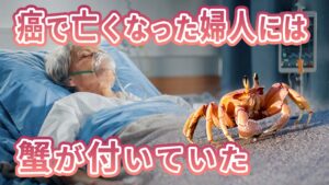 【未解決ミステリー】「生命」とは？「魂」とは？　なぜある人は癌で死ぬのに他の人は死なないのか