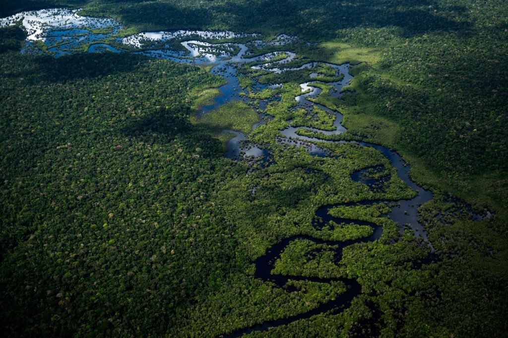 ブラジル先住民たった一人の生き残りが死亡　26年間外界と接触絶ち生活