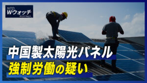 フリーダムハウス「ますます多くの国が北京の影響力に抵抗」/インド 一部米品種に20％の課税  など｜NTD  ワールドウォッチ（2022年9月12日）