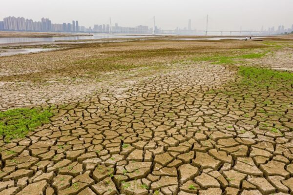 中国の「石炭発電熱」で高まる有害汚染物質に対する懸念