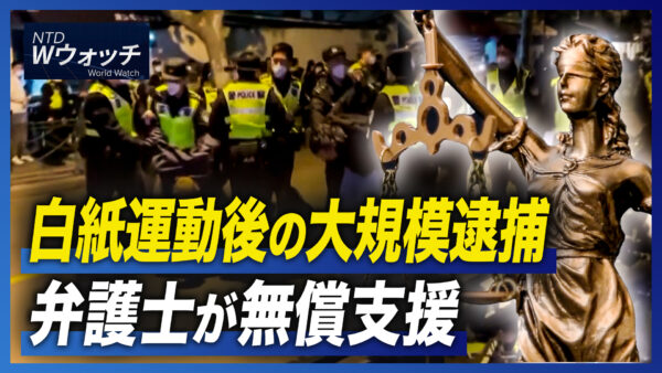 白紙運動後の大規模逮捕 弁護士が無償支援/カタールW杯 ファン殺到で ラクダも「残業」 など｜NTD ワールドウォッチ（2022年12月1日）