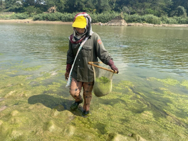 アングル：メコン川上流に中国ダム、追いつめられるタイの漁村