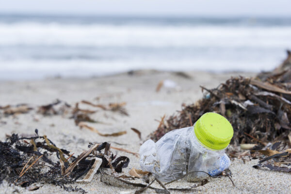 マイクロプラスチックが脳を含む主要臓器に及ぼす潜在的影響、科学的に明らかに（下）