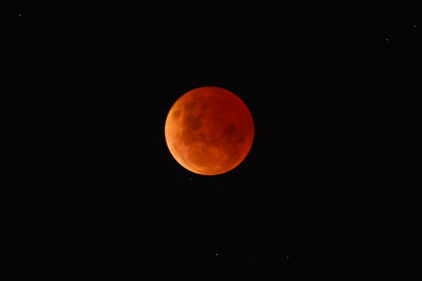 今年は見られない皆既月食…来年は3、9月に観測可能＝国立天文台