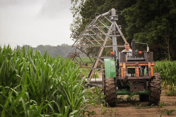穀物収穫量を最大50％減少　中国共産党流の農業テロリズム