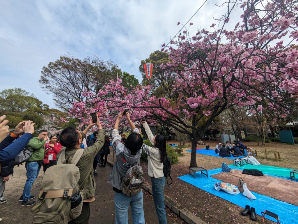 訪日外国人数の記録的増加：2カ月連続の300万人超え