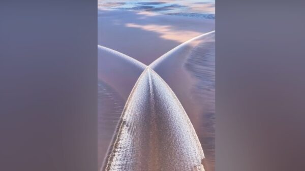 「巨大な銀色のバタフライ」　中国・銭塘江で撮影された壮大な現象