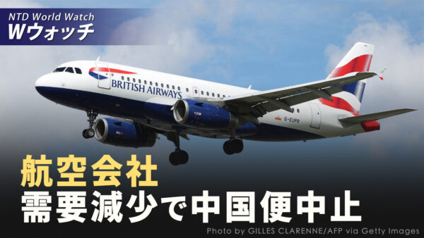 需要減少に伴い、外国航空会社が中国便を中止/世界初、中共による生体臓器摘出の生存者が証言 など｜NTD ワールドウォッチ（2024年8月12日）