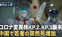 コロナ変異株KP.2、KP.3襲来 中国で若者の突然死増加/中国金融界大震撼 A株で千人以上の重役が一斉に辞職 など｜NTD ワールドウォッチ（2024年9月16日）