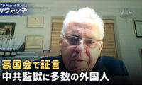 副大統領候補者の討論 優雅さの中に鋭さ/元記者が豪国会で証言　中共監獄に多数の外国人 など｜NTD ワールドウォッチ（2024年10月4日）