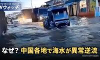 中国資金の海外流出が加速 2500億ドル国外移転/なぜ？ 中国各地で海水が異常逆流 など｜NTD ワールドウォッチ（2024年10月25日）