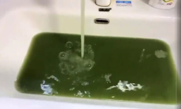 【動画あり】みどり色の水道水　すでに10日以上　原因不明＝中国湖北省武漢市