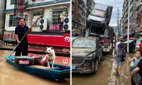 洪水に沈んだ街と忠犬　中国・貴州省で大洪水【動画あり】