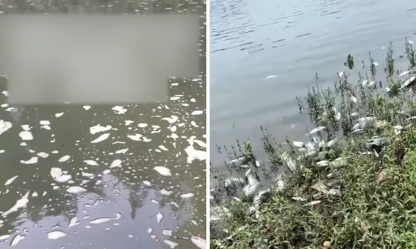 中国・江西省 汚染の町　住民の半数が「がん患者」【動画あり】