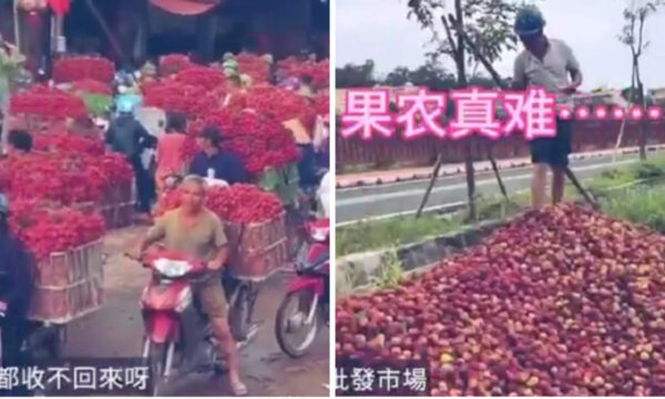 「ライチがゴミになる日」　豊作なのに誰も買わない＝中国【動画あり】