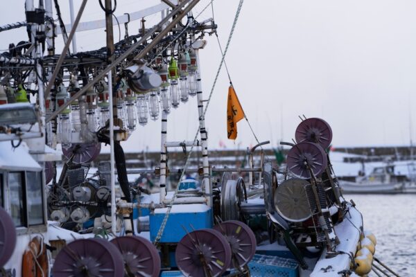 中国　日本産水産物の輸入一部再開　科学的根拠軽視と自国基準の問題残る