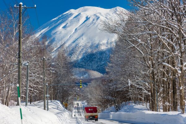 中国系人物が北海道・羊蹄山麓で違法な森林伐採　北海道が工事中止勧告