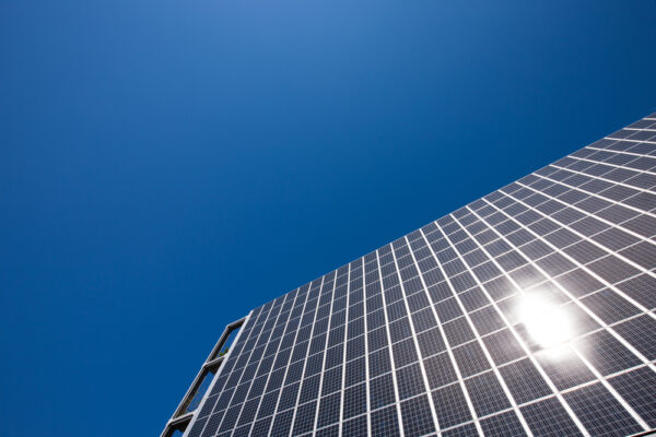 中国製太陽光パネルの日本市場席巻　低価格の裏に潜む人権問題