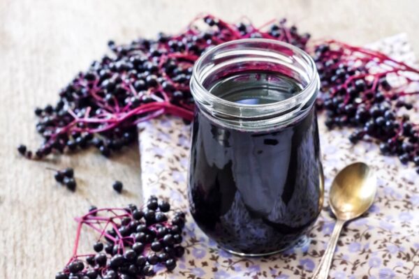 エルダーベリーで腸内環境と代謝を整える新発見