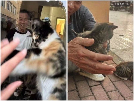 中国で猛暑の犠牲者となった「優しき管理人」