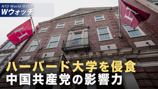 トランプ氏の次の一手 重要鉱物の管理と半導体への補助金/ ハーバードに多数の中国人留学生 米国大学を侵食する中国共産党 など｜NTD ワールドウォッチ（2025年08月25日）
