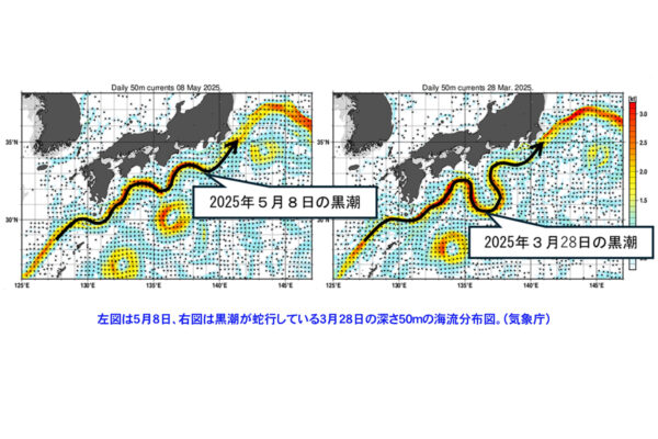 黒潮大蛇行が7年9か月で終息　漁業・気象・農業への影響と今後の展望