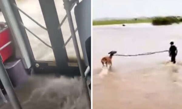 「砂漠に雹」「草原に洪水」　中国内モンゴルで世紀の豪雨【動画あり】