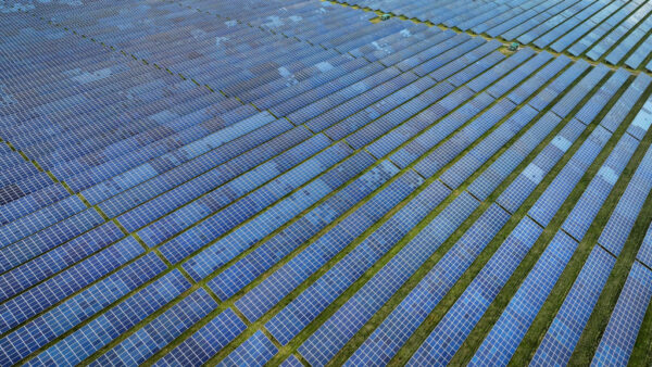 北海道釧路メガソーラー中止要請に事業者拒否　著名人も相次ぎ反対表明