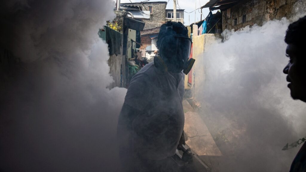 チクングニア熱が拡大　中国6省を最高リスク区に指定